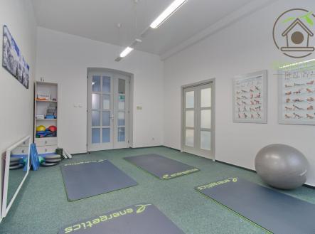Pronájem nebytového prostoru 57,3 m²  -  ul. Nerudova, Plzeň